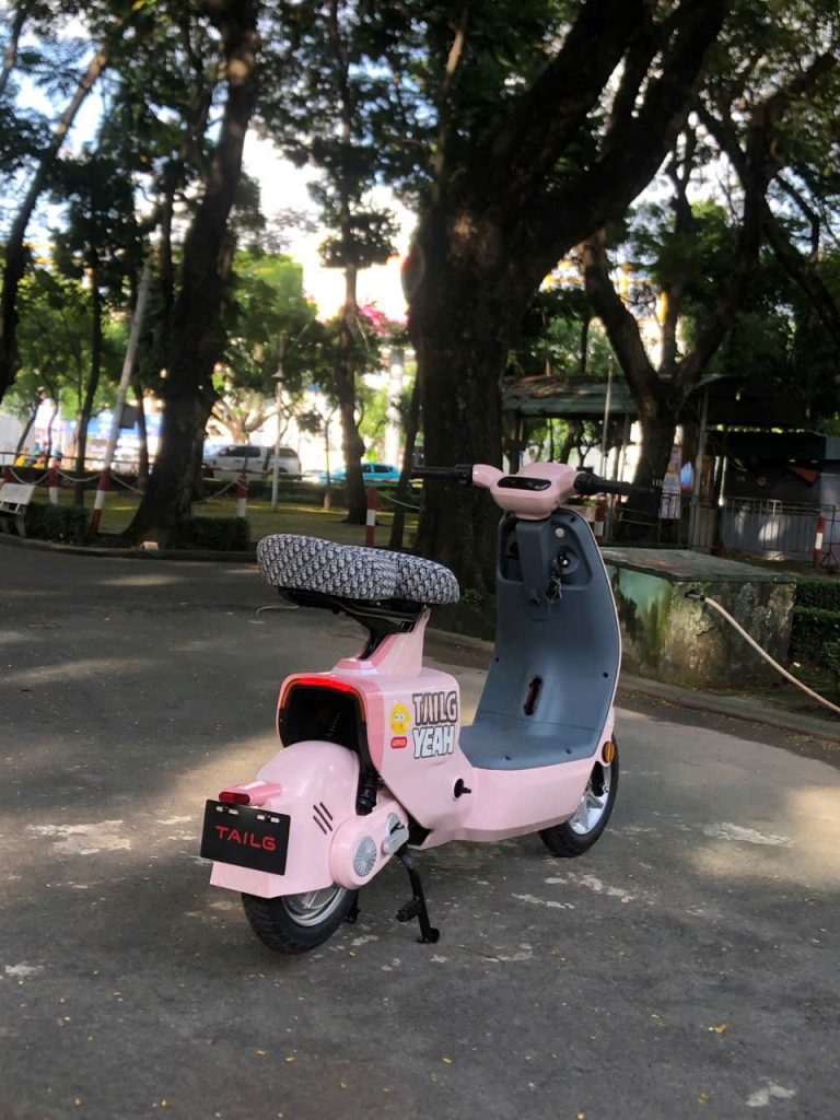 Động cơ QS Motor 800W