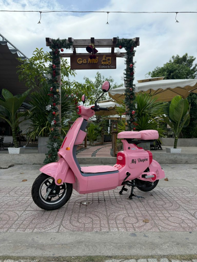 Xe Đạp Điện VC K1