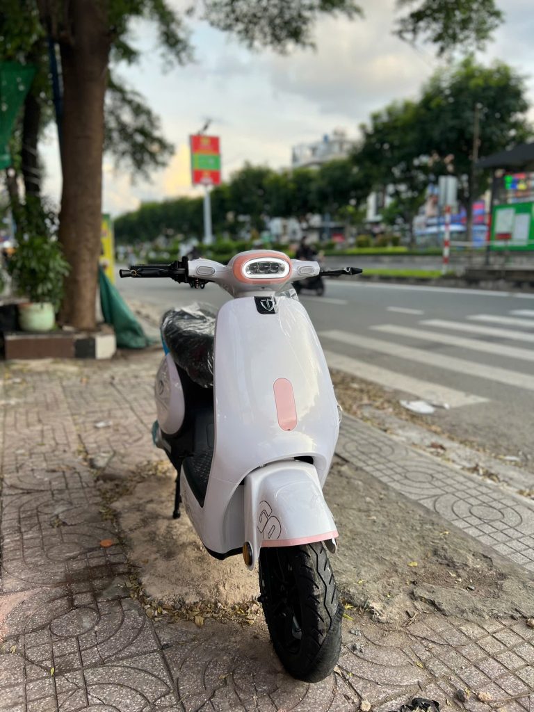 Xe Đạp Điện Tailg GR56 Đầy Đủ Giấy Tờ