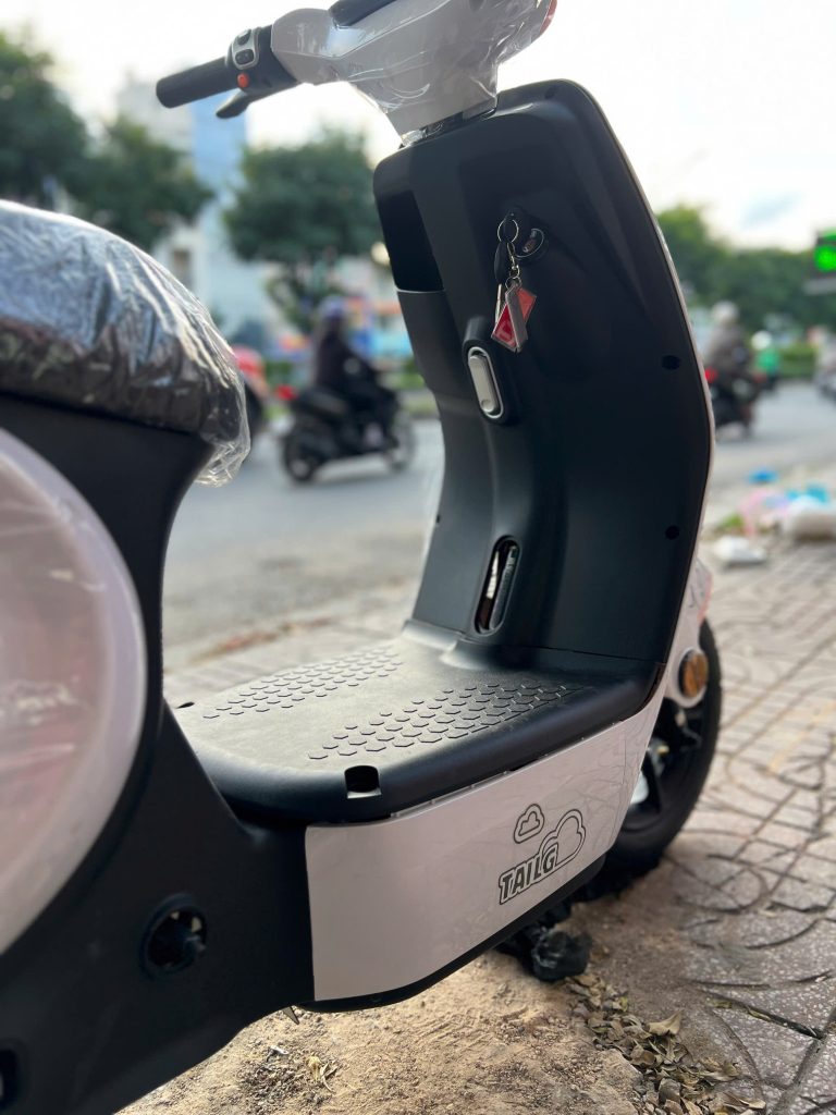 Xe đạp điện Tailg GR56 thời trang, nhỏ gọn